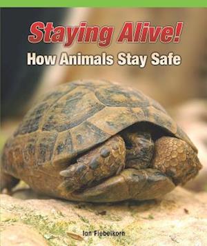 Staying Alive! How Animals Stay Safe