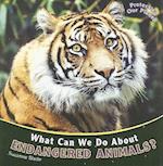 What Can We Do about Endangered Animals?