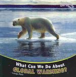 What Can We Do about Global Warming?