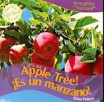 It's an Apple Tree!/Es Un Manzano!