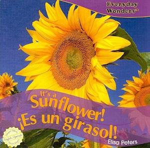 It's a Sunflower!/Es Un Girasol!