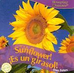 It's a Sunflower!/Es Un Girasol!