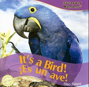 It's a Bird!/Es Un Ave!