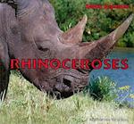 Rhinoceroses