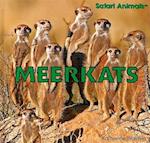 Meerkats