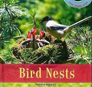 Bird Nests