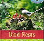 Bird Nests