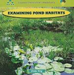 Examining Pond Habitats