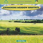 Examining Meadow Habitats