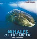 Whales of the Arctic