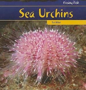 Sea Urchins