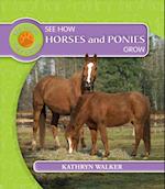 See How Horses and Ponies Grow