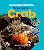 The Life Cycle of a Crab