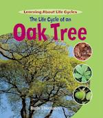The Life Cycle of an Oak Tree