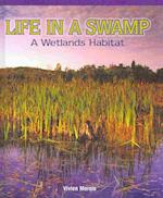 Life in a Swamp