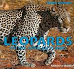 Leopards of the African Plains