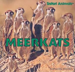 Meerkats