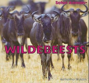 Wildebeests