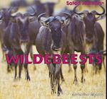 Wildebeests