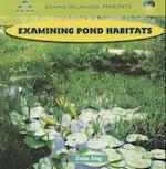 Examining Pond Habitats