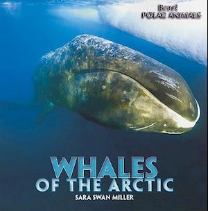 Whales of the Arctic