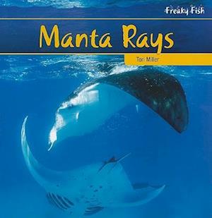 Manta Rays