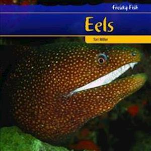 Eels