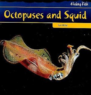 Octopuses and Squid