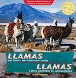 Llamas and Other Latin American Camels/Llamas y Otros Camelido S de Latinoamerica