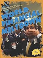 World Financial Meltdown