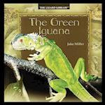 The Green Iguana