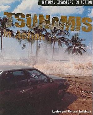 Tsunamis in Action