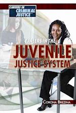 Careers in the Juvenile Justice System