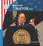 What Does a Mayor Do?