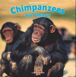 Chimpanzees Are Smart!