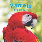 Parrots Are Smart!