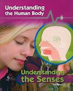 Understanding the Senses