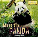 Meet the Panda