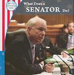 What Does a Senator Do?