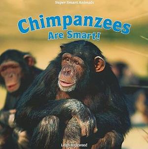 Chimpanzees Are Smart!