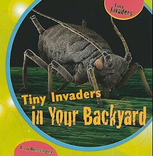 Tiny Invaders in Your Backyard