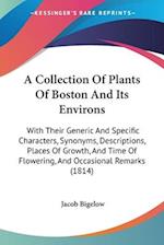 A Collection Of Plants Of Boston And Its Environs