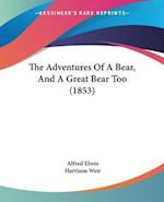 The Adventures Of A Bear, And A Great Bear Too (1853)