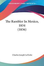 The Rambler In Mexico, 1834 (1836)