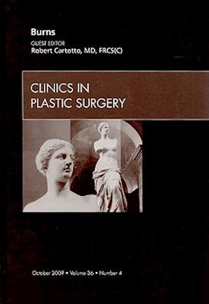 Burns, An Issue of Clinics in Plastic Surgery