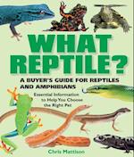 What Reptile?