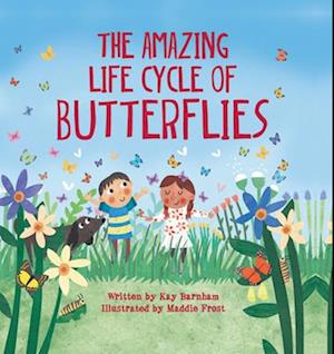 The Amazing Life Cycle of Butterflies