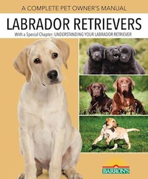 Labrador Retrievers