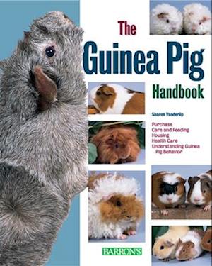 Guinea Pig Handbook