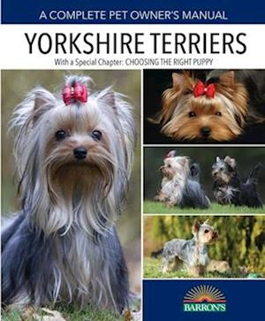 Yorkshire Terriers